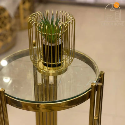 Cactus with Planter inside Acute Metallic Structure (2 Pcs set)