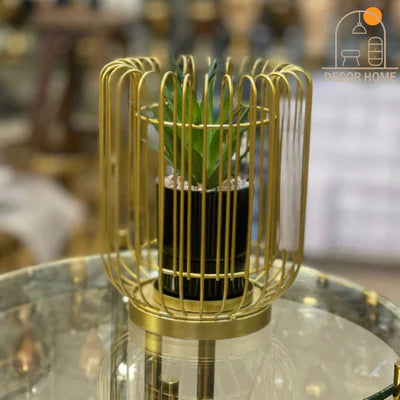 Cactus with Planter inside Acute Metallic Structure (2 Pcs set)