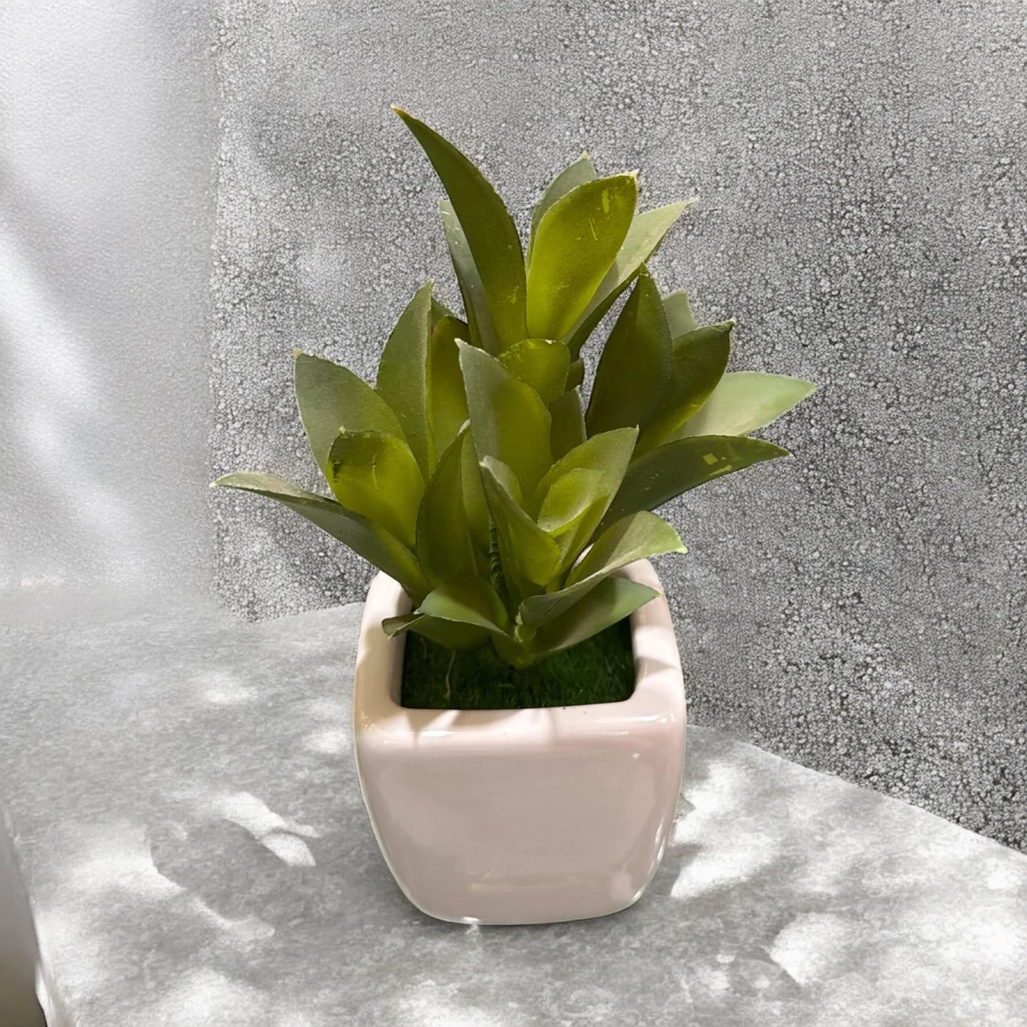 Pot