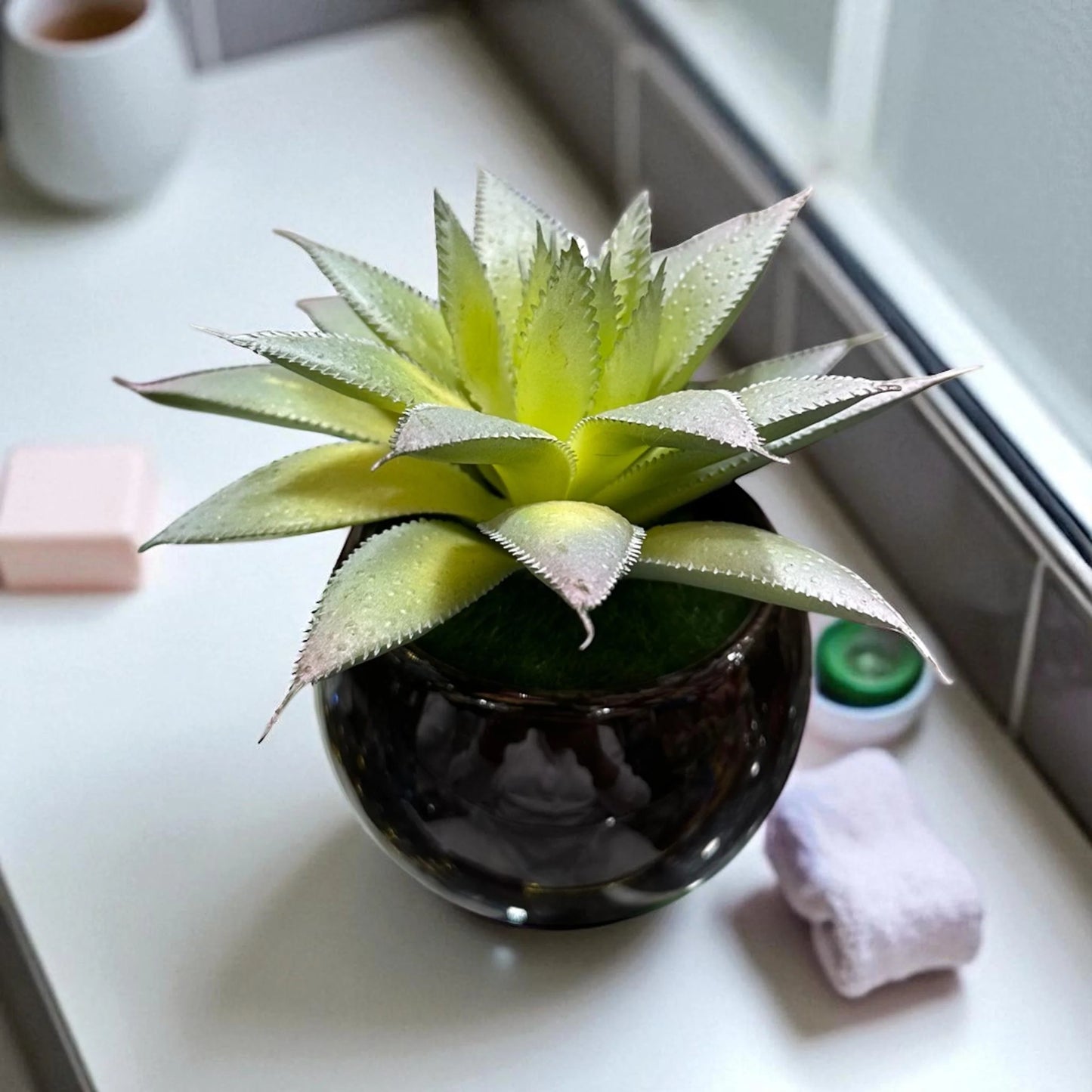 Pot