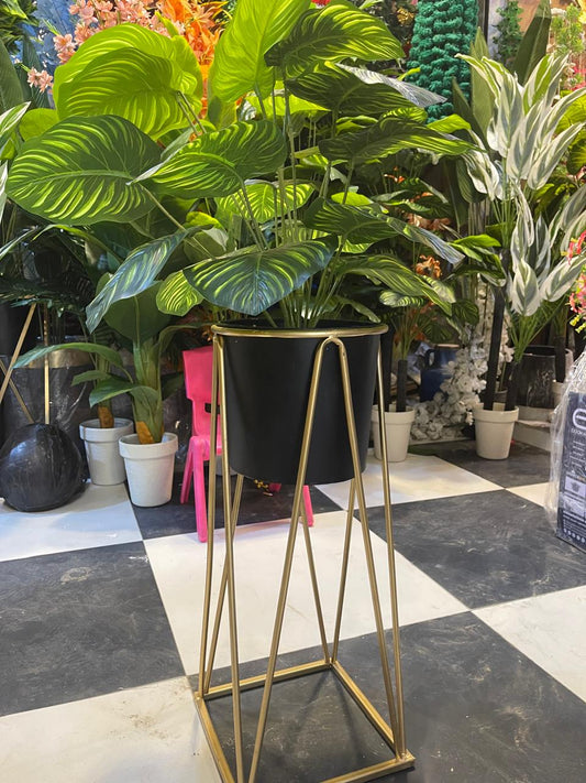 2 Stand Set (without plant)