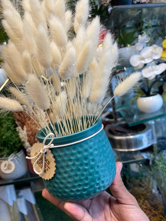 Bunny Grass Pot