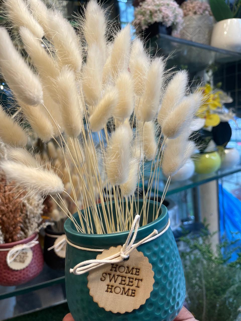 Bunny Grass Pot