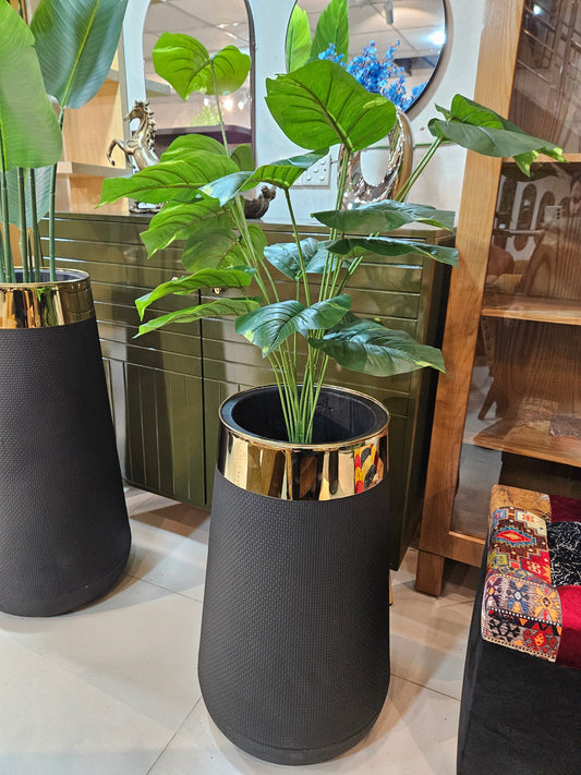 Black Plastic Flower Pot with Elegant Golden Border