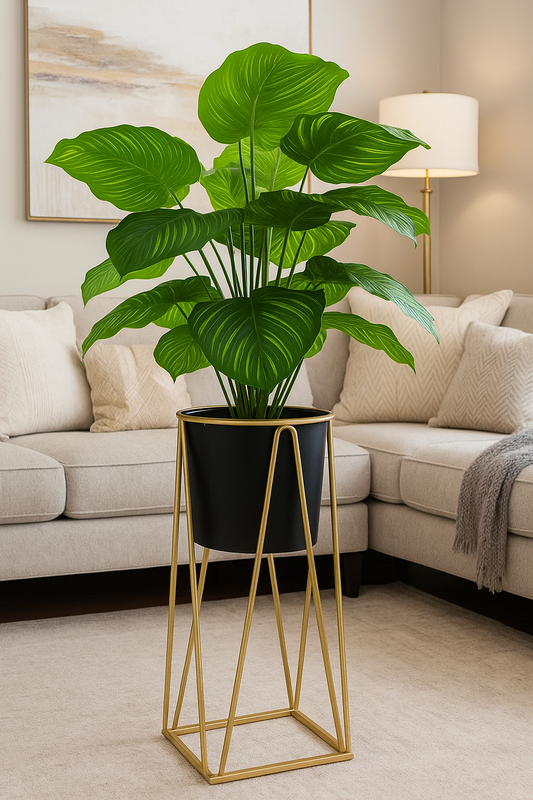 1 plant plant pot with stand
