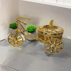 Cycle For Home Decoration