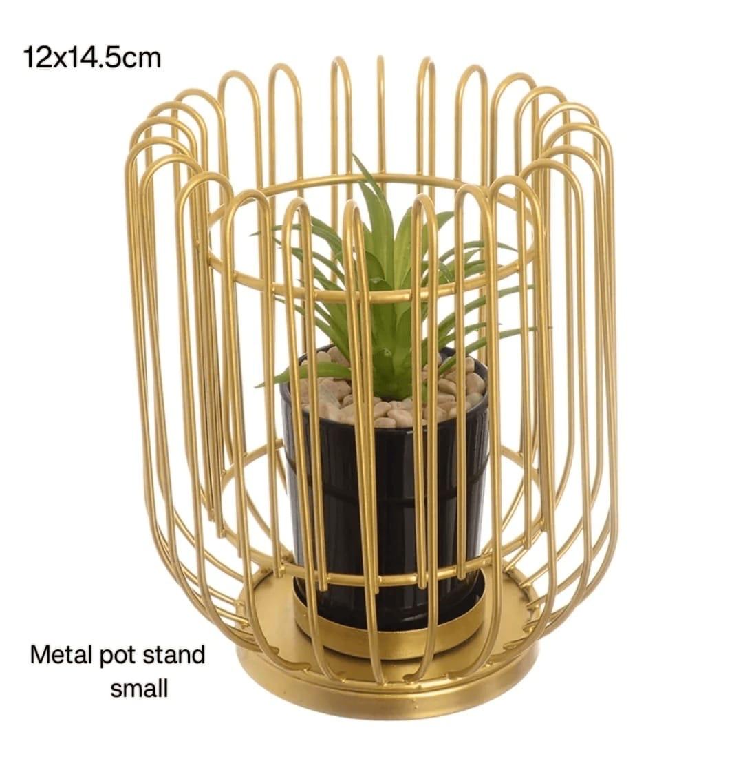 Metal Golden Port Stand with Cactus