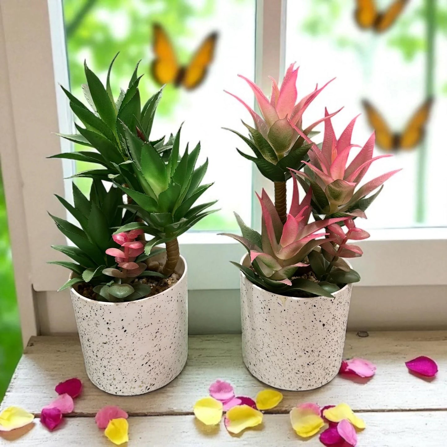 Pots