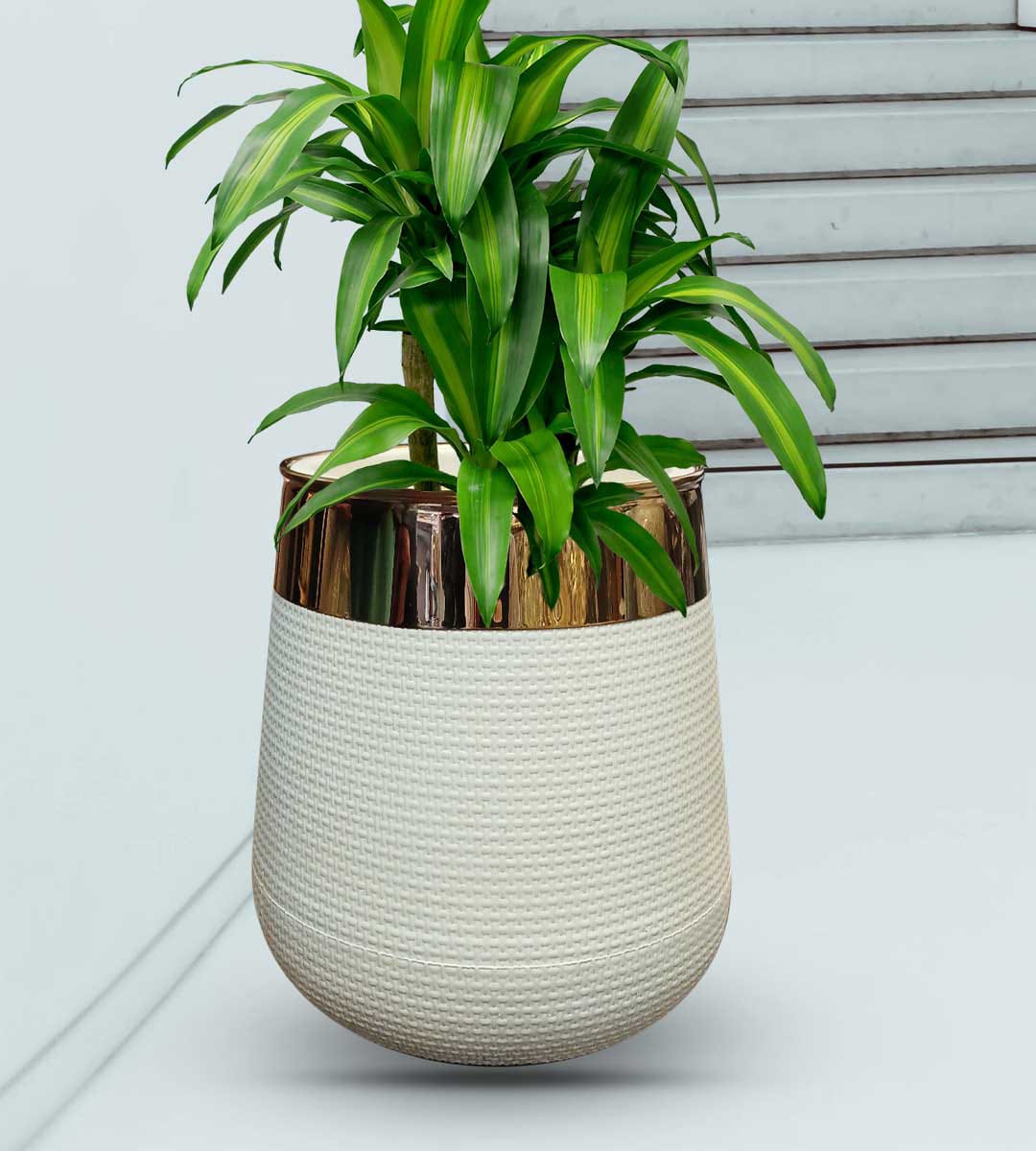 Planter Plastic Pot without plant