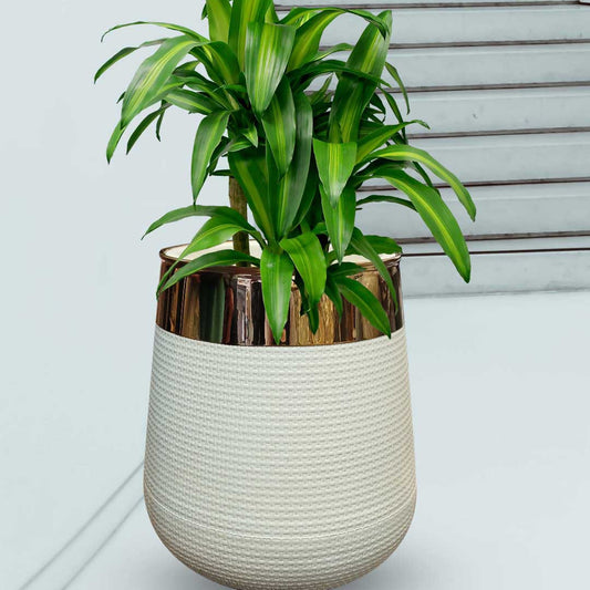 Planter Fiber Pots without plant