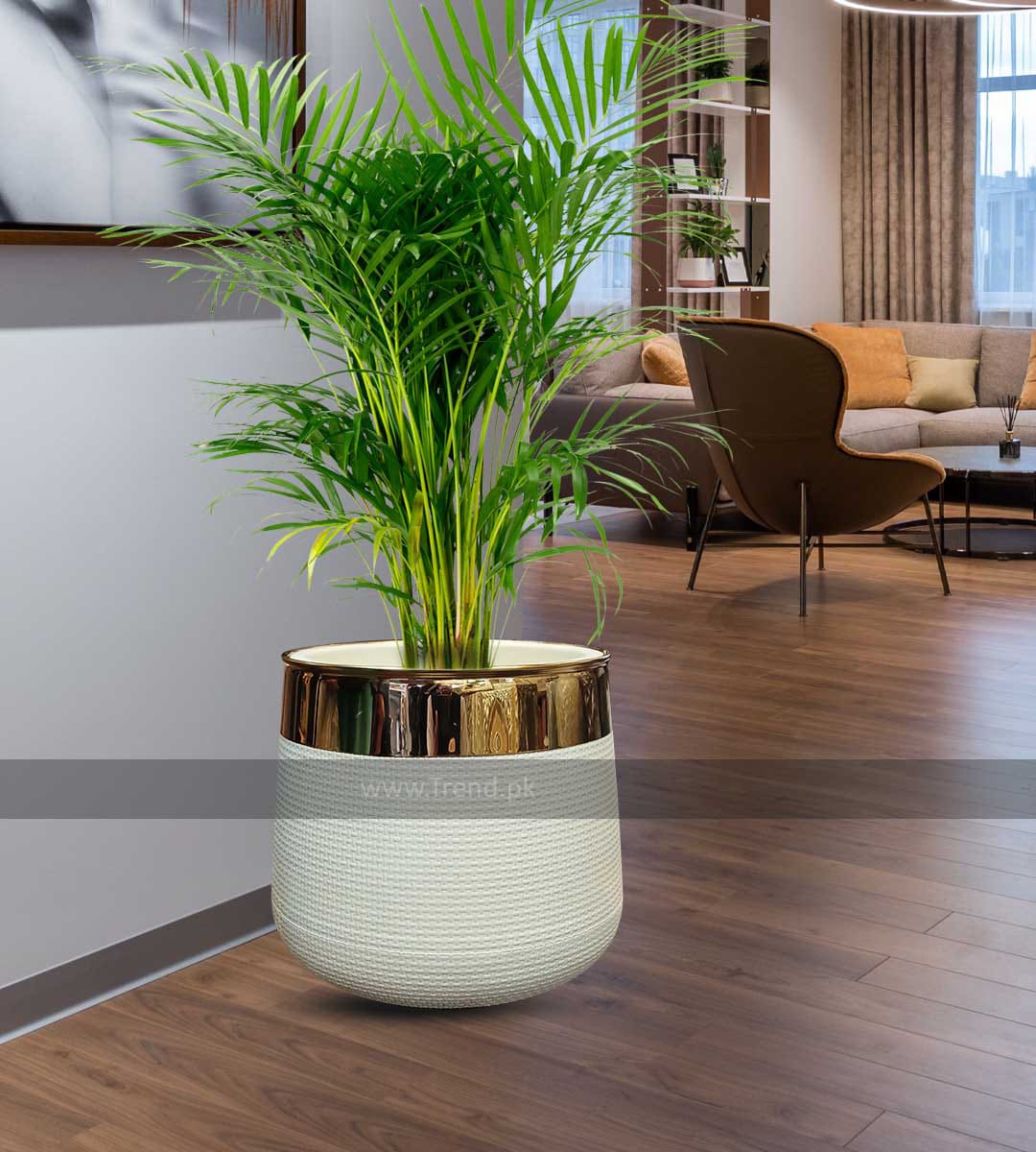 Planter Fiber Pots without plant