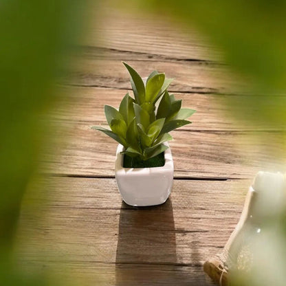 Pot