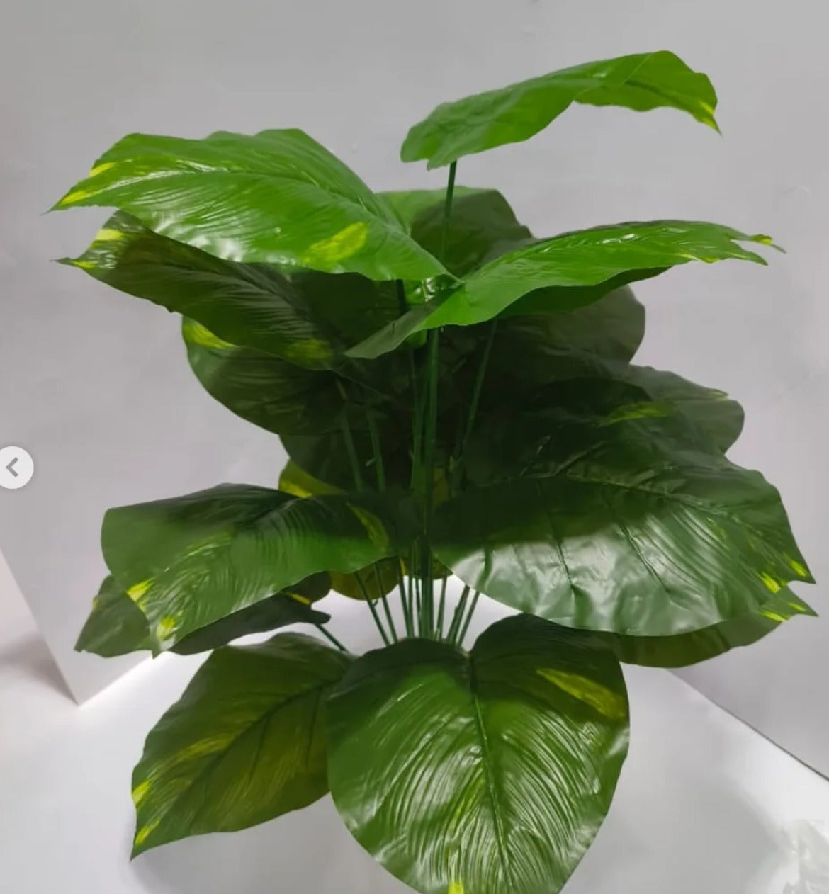 1 Iron Indoor Stand set with port