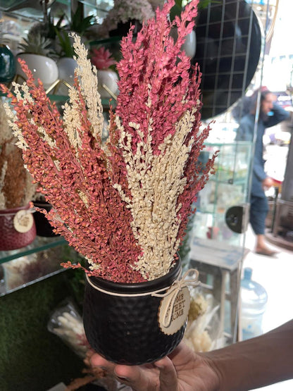 Bunny Grass Pot