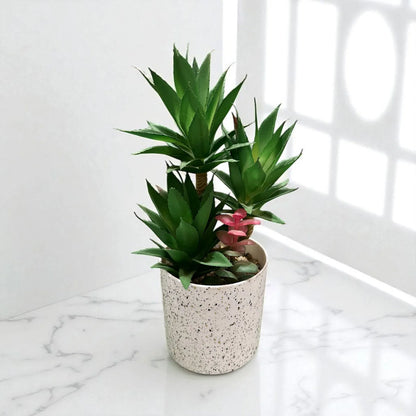 Off-White Plants Pots