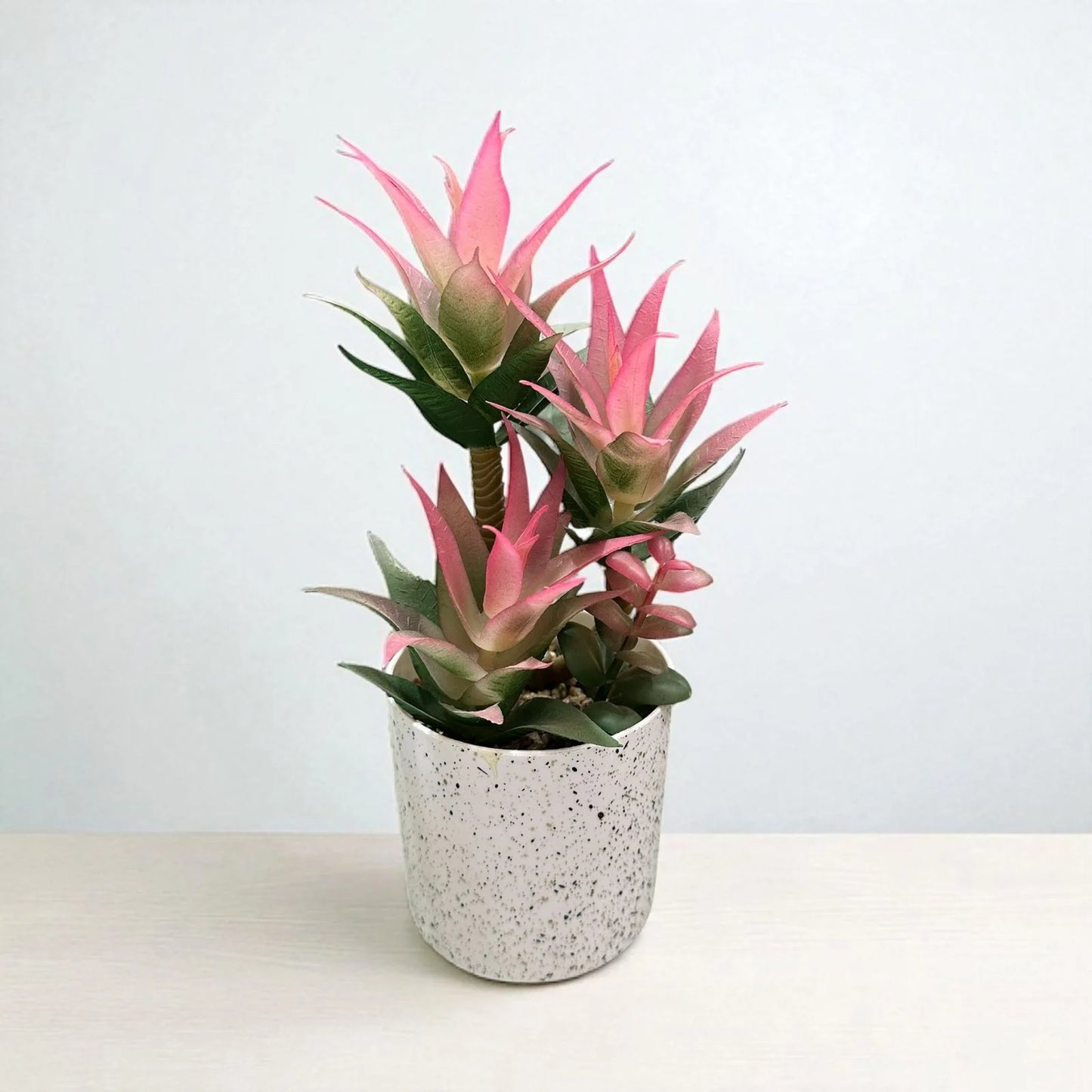 Off-White Plants Pots