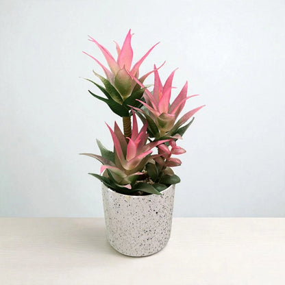 Off-White Plants Pots