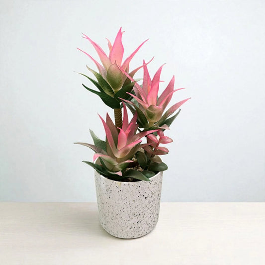 Off-White Plants Pots