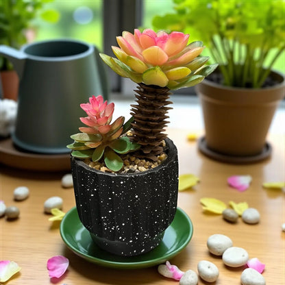 Black Plant Pot