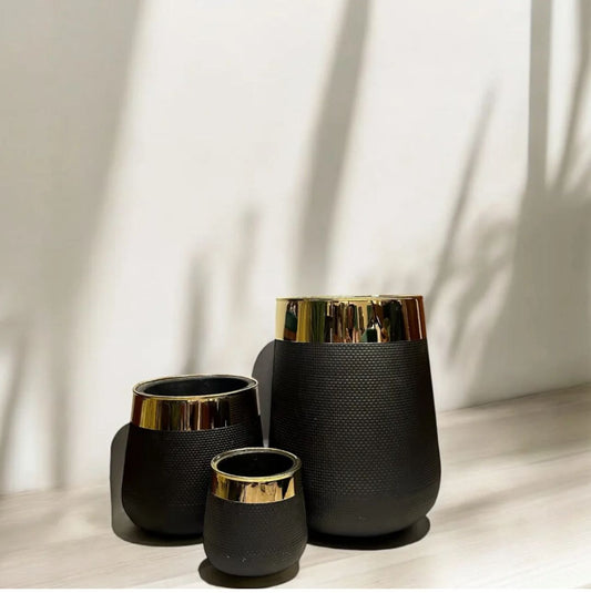 Black Plastic Flower Pot with Elegant Golden Border